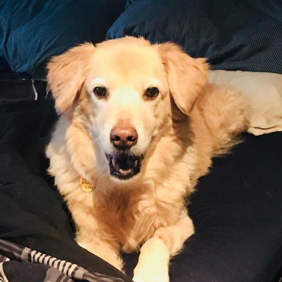 Meet your Posher, John - Picture 1 of 1